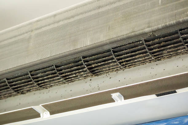 Best HVAC Air Duct Cleaning  in Ridgetop, TN